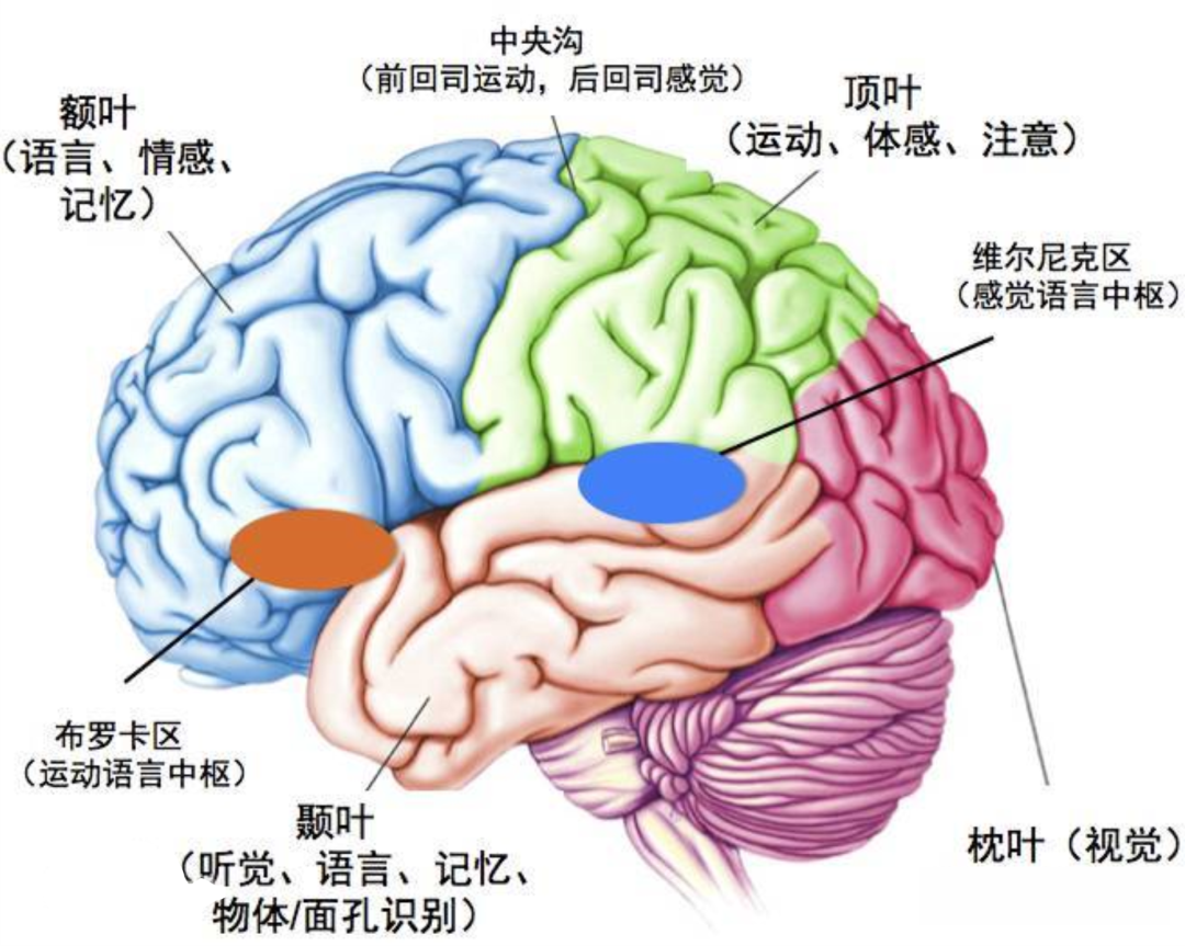 昏迷促醒中心医院